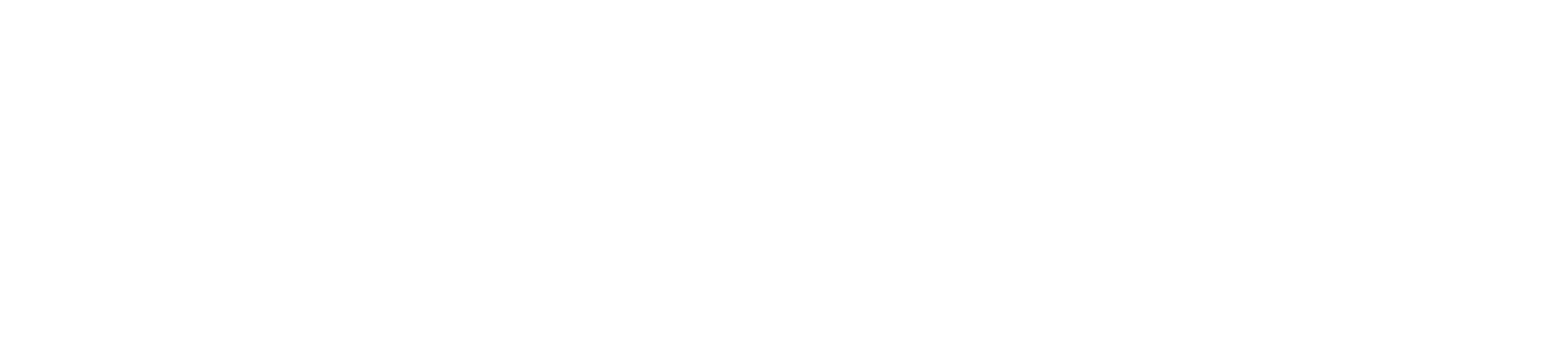 Studio HVN Logo